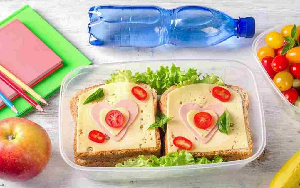 100 Healthy Lunch Box Ideas Your Kids Will Love