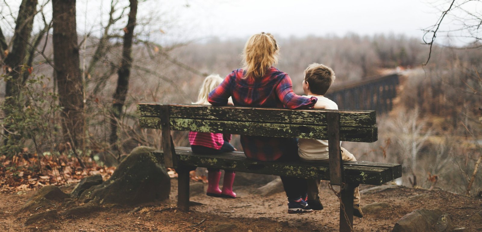 Children sitting with a parent on a forest bench