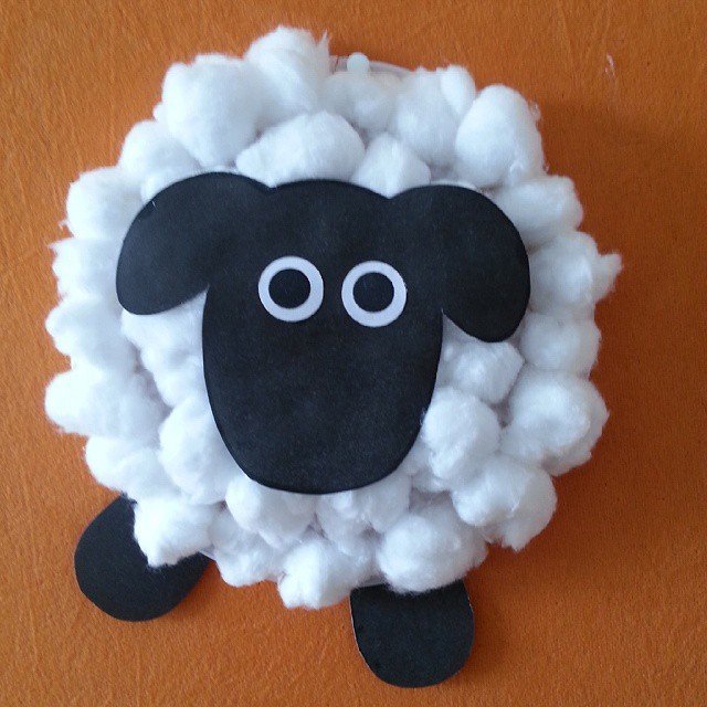 sheep cotton wool