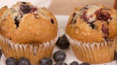 lunch box ideas blueberry muffins