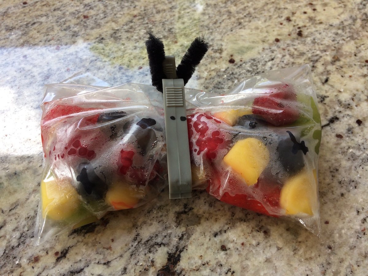 lunch box ideas fruit butterflies