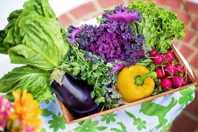 lunch box ideas Vegetables