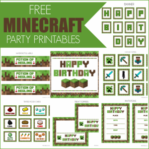 minecraft party