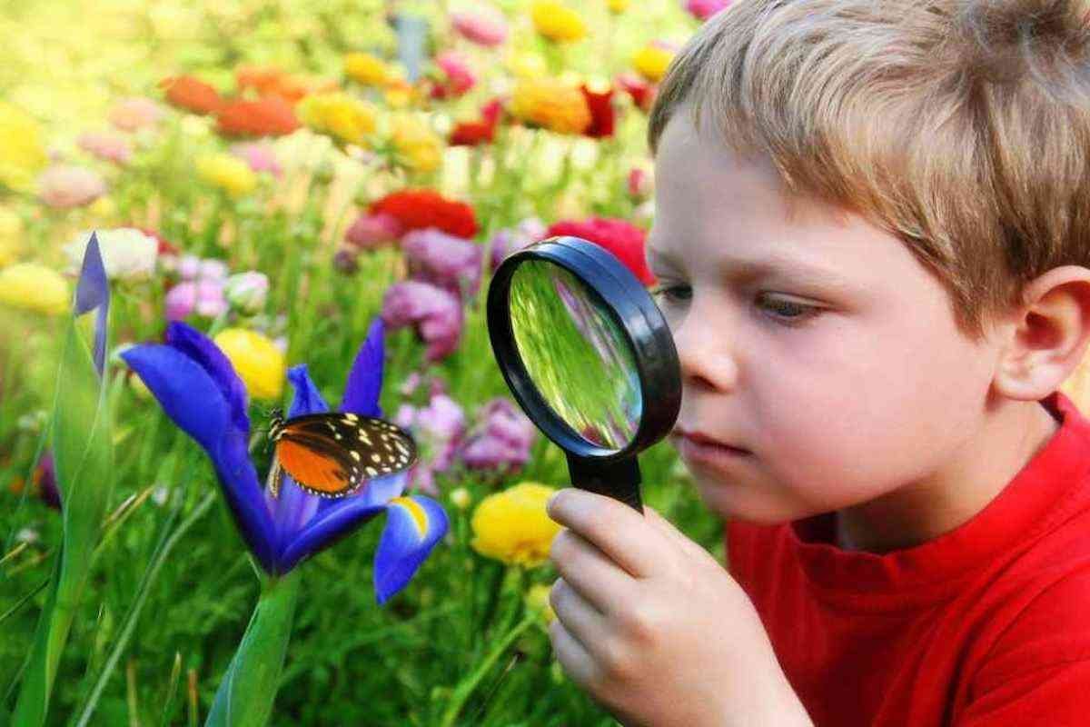 nature-activities-for-kids