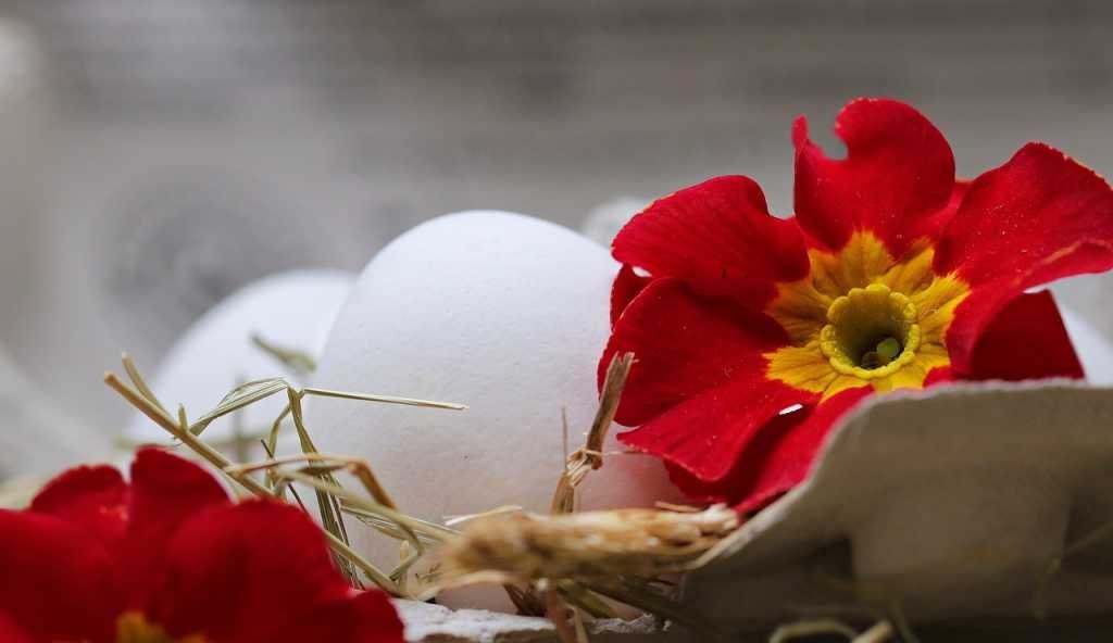 make salad interesting edible flowers and eggs