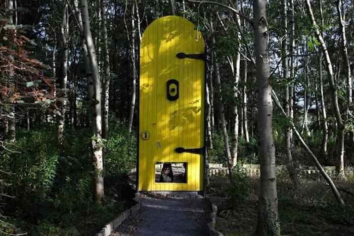 Land of giants for family trails in Ireland