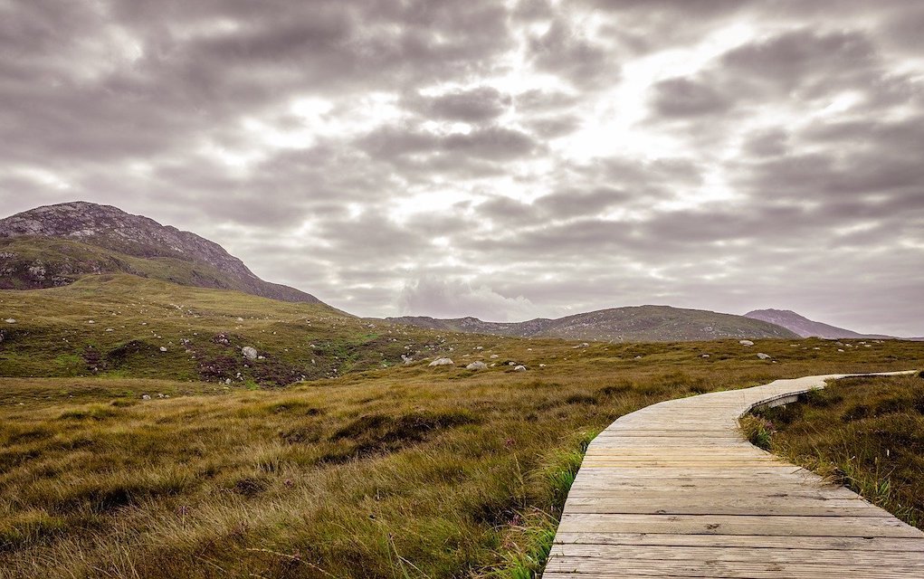 Diamond Hill 99 fantastic places to go in Ireland with kids