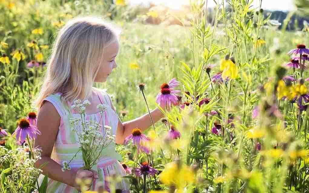 Eco Friendly Ways To Amuse The Kids At Home This Summer