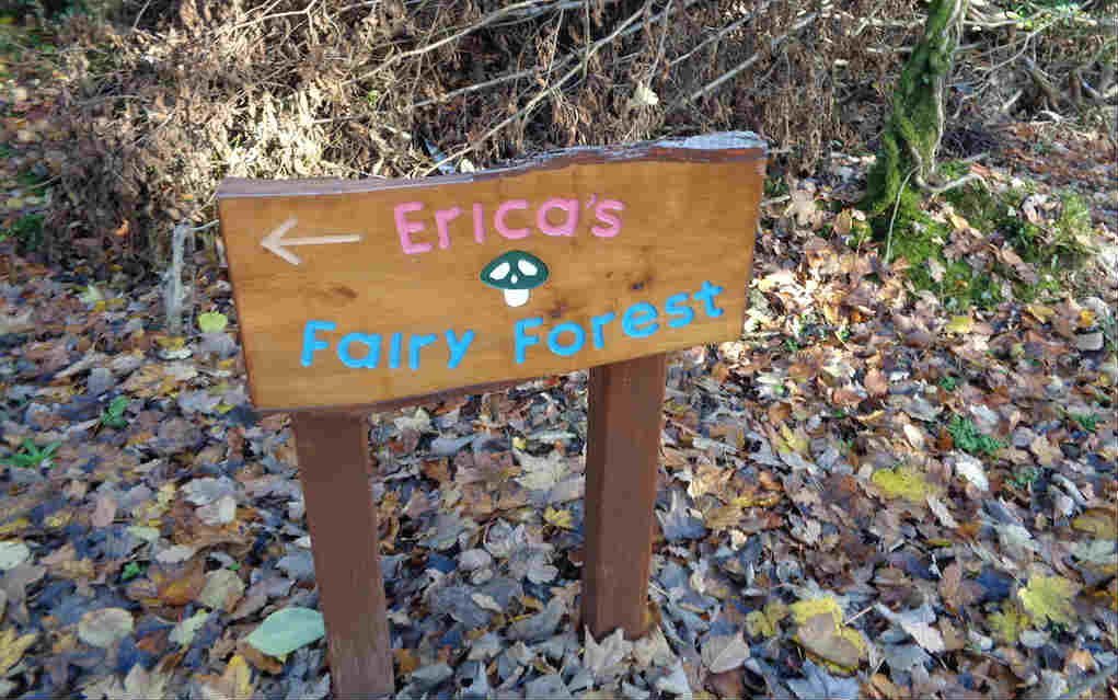Erica's Fairy Forest for things to do in Cavan - Mykidstime
