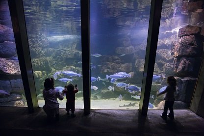 Galway Atlantaquaria