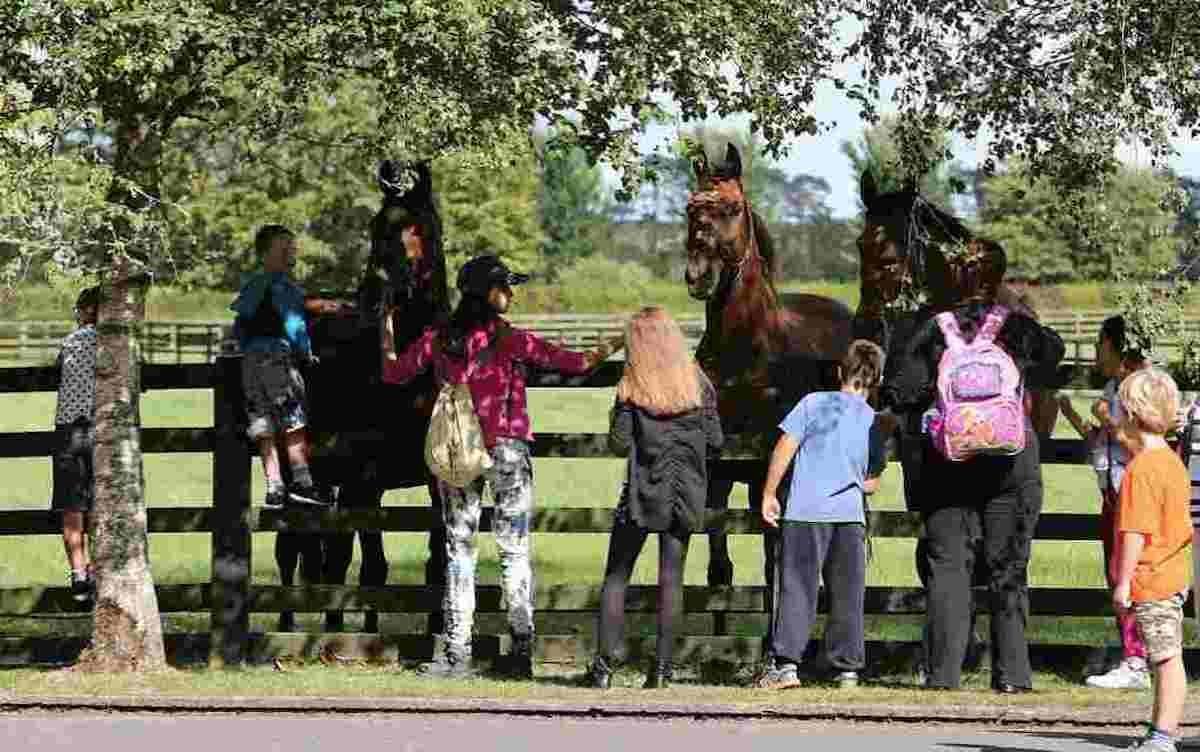INS family days out with dining options