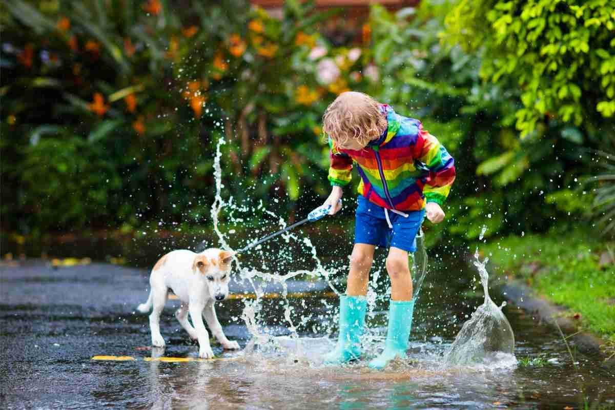 Jumping in puddles rainy day jumping in puddles