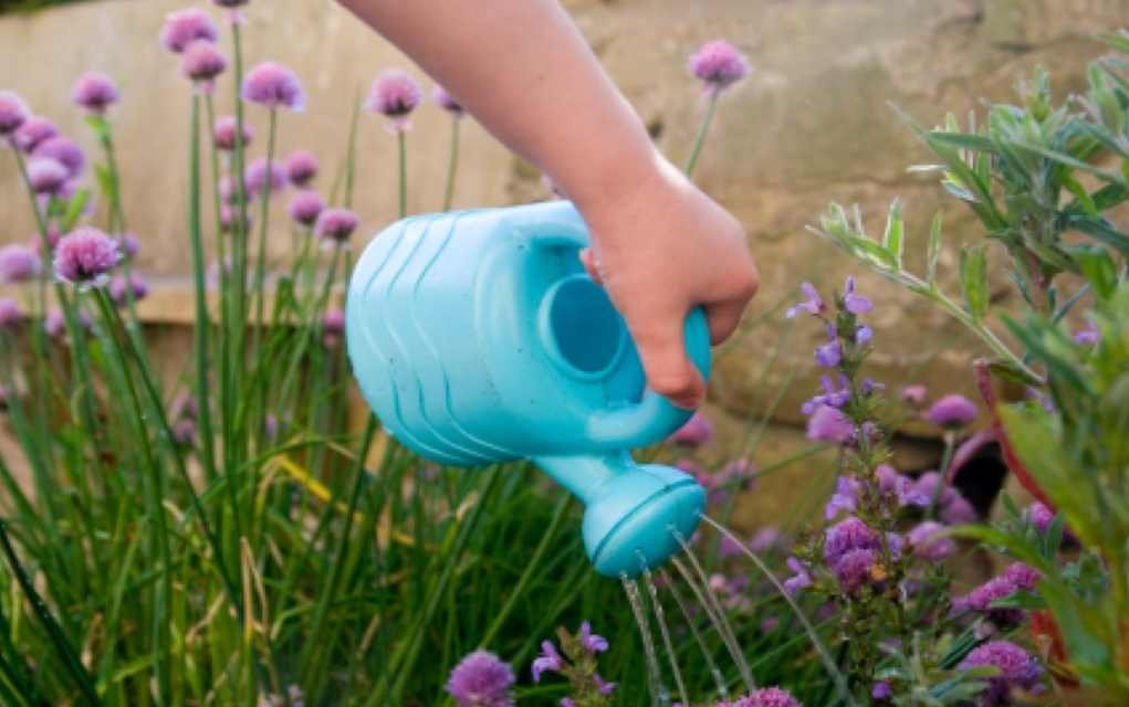 how to make gardening fun for kids