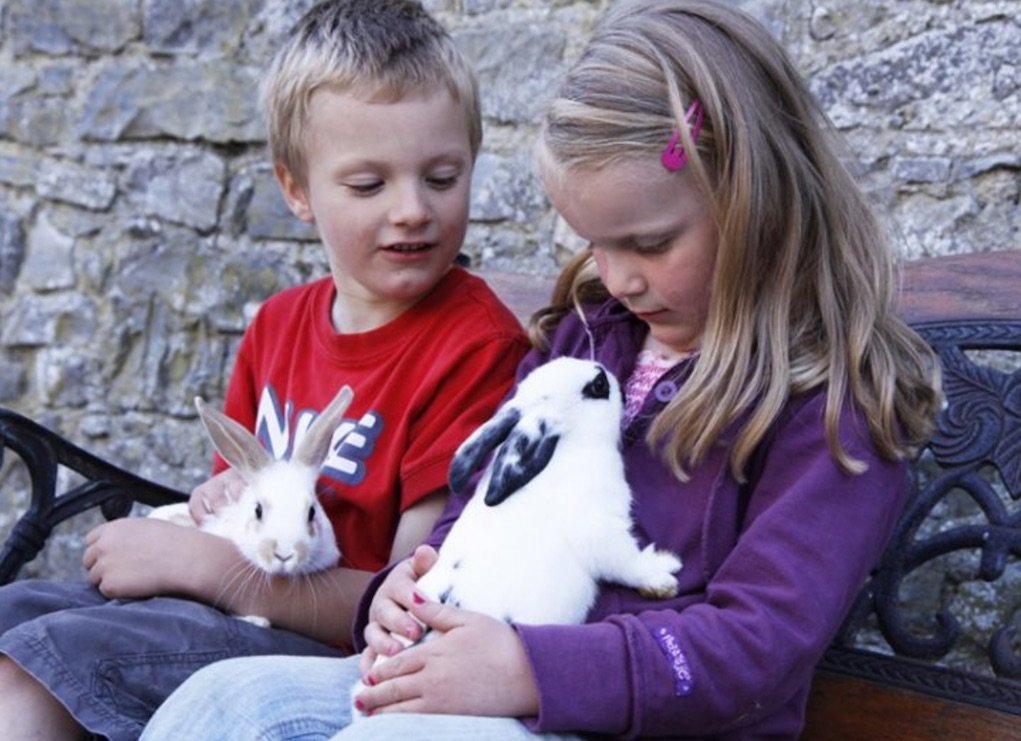 Nore Valley Park Pet Farm
