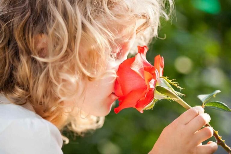Sensory plants for the garden (1)