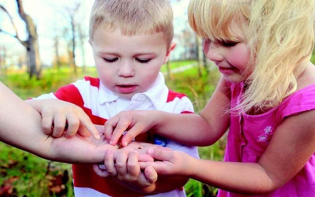 children-bug-hunt-outdoor-activities-for-kids- outdoor activities for kids