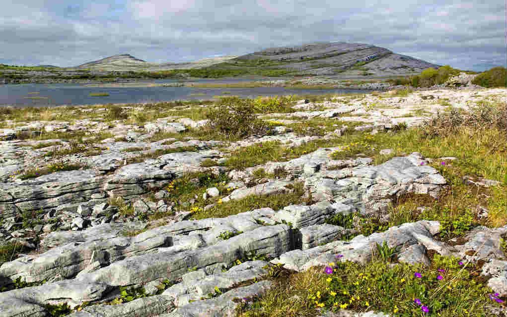 A Family Day Trip to The Burren: 4 Unique Hotspots to Enjoy
