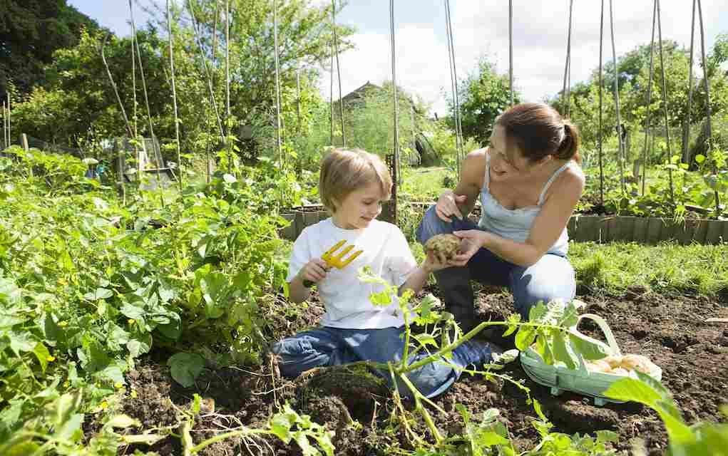 gardening-with-your-kids-tips-to-encourage-your-kids-to-garden