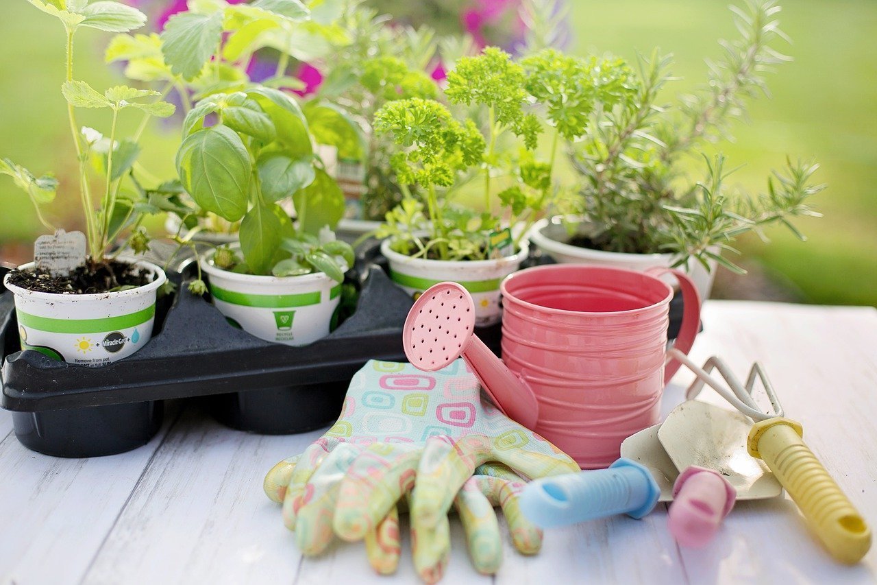 herb garden eco friendly activities for kids to enjoy at home this summer