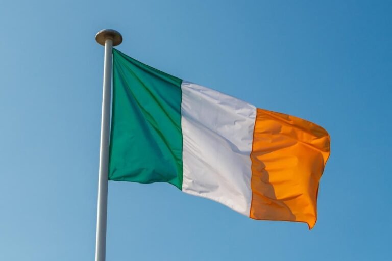 7 Must Have Resources for Your Teen Studying Irish for Junior or Leaving Cert