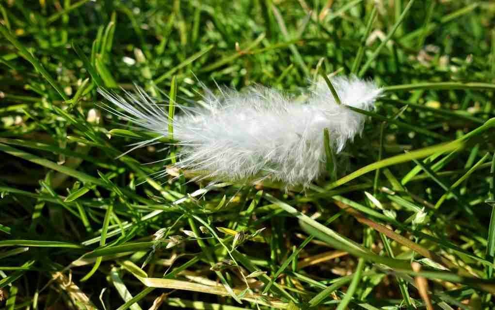 Nature scavenger hunt eco friendly ways to amuse the kids at home