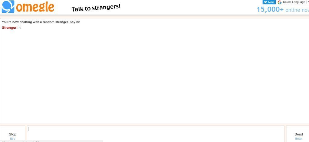 omegle-chat-screen What is omegle - chat screen
