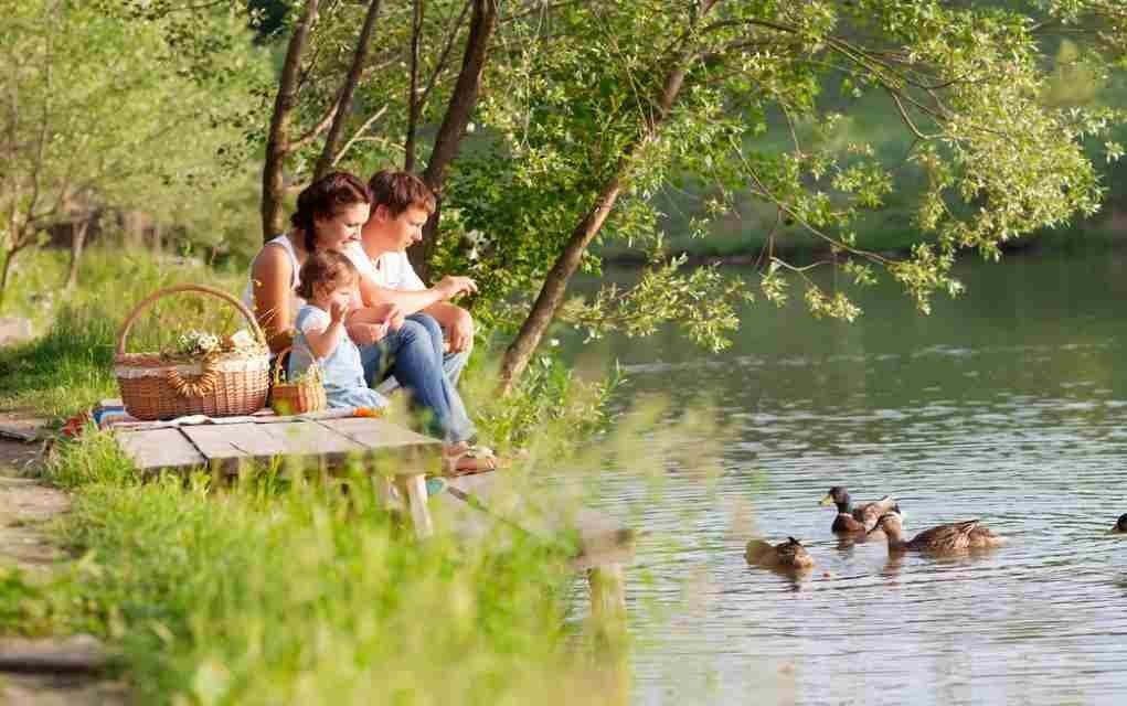 picnic places in ireland