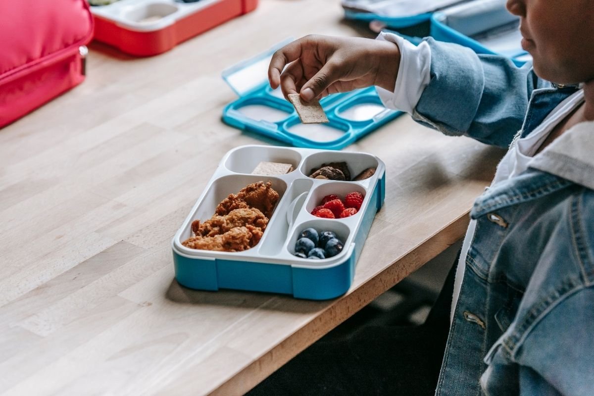 compartments in lunch box to avoid school lunch food waste