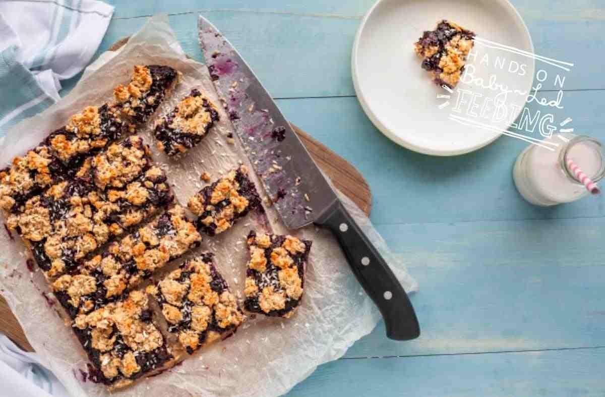 Sugar-Free Blueberry and Oat Lunchbox Bars recipe