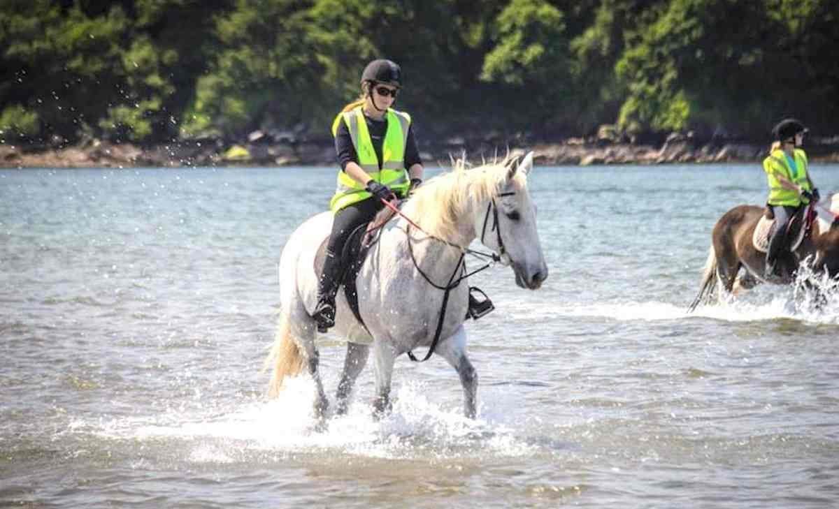 PLaces to see horses in Ireland Dingle Horseriding Treks