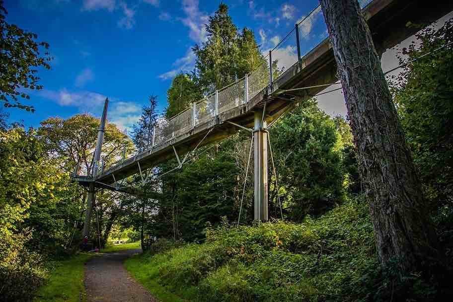Family adventures at Lough Key Forest & Activity Park