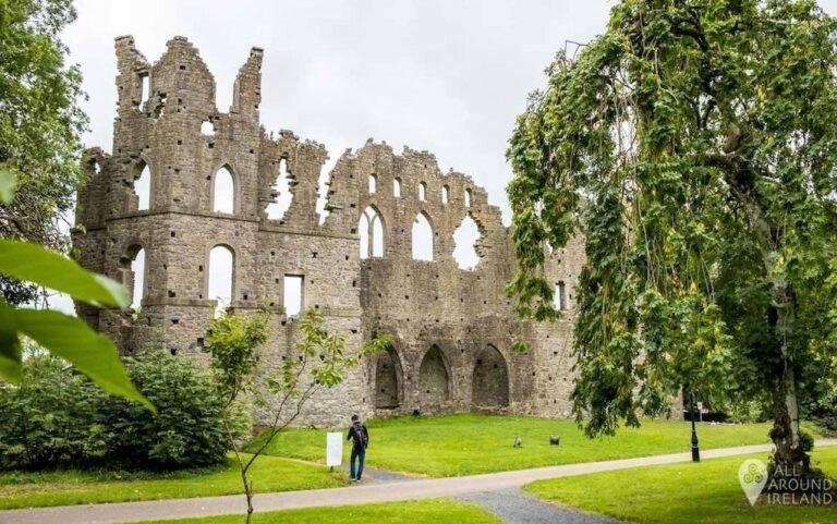 The Best Picnic Places for Families in Westmeath